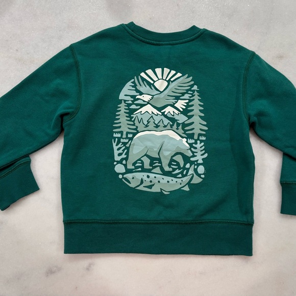 Old Navy Green Explore Sweatshirt - Picture 2 of 3